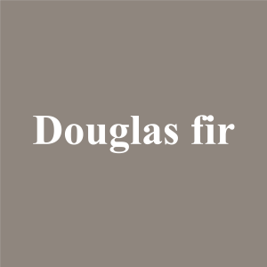 douglas fir
